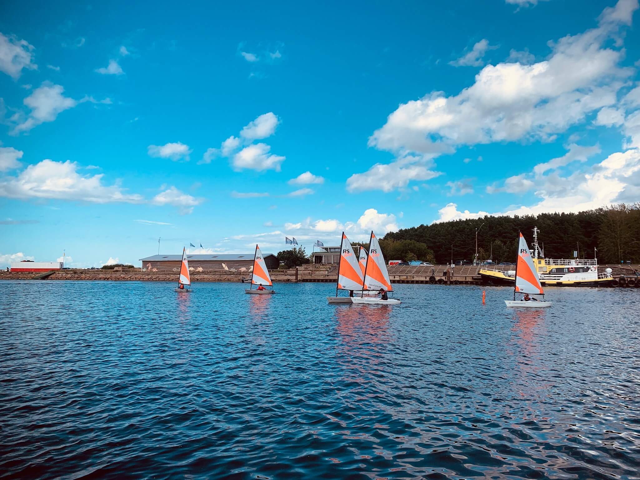 🏆 УНИКАЛЬНЫЙ ВИД СПОРТА, КОТОРЫЙ ФОРМИРУЕТ ХАРАКТЕР